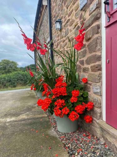 The Hayloft, Pillar Box Farm Cottages