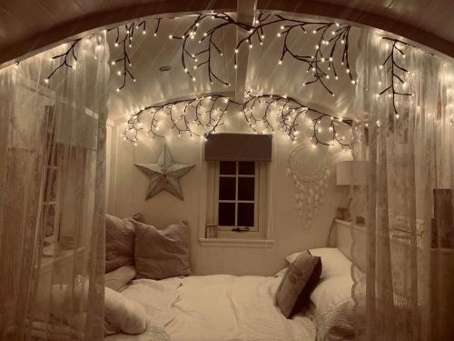 The Dragonfly Shepherds Hut