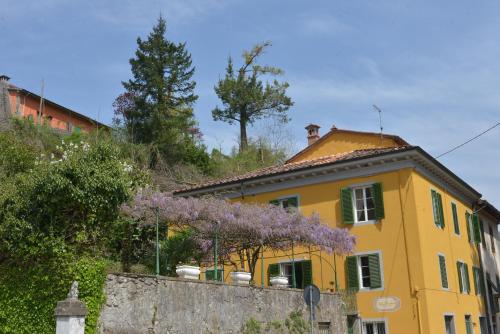 Villa Lucchesi - image 5