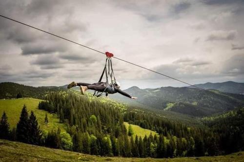 Pensiunea Casa Fierarul din Bucovina