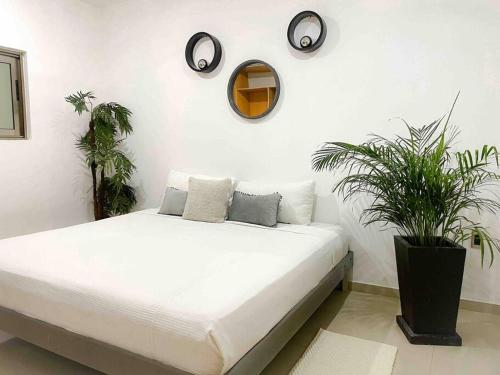 Apartment in the best area of ​Playa del Carmen