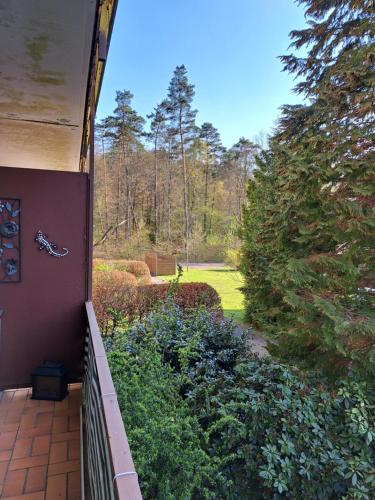 Seen- und Felsenland in Ludwigswinkel, Deutschland