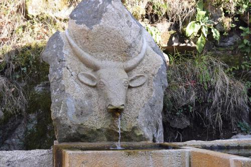 Casa Florestal, na Branda da Bouça dos Homens