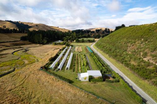Seedlings - at Birchburn farm in Wairau Valley