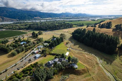 Seedlings - at Birchburn farm in Wairau Valley