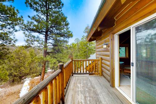 Black Bear in Pagosa Springs, USA