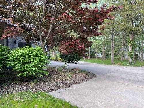 Beautiful Parkside Suite Beautiful Parkside Suite