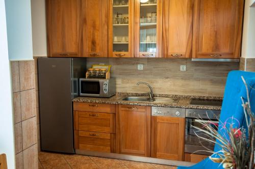 virtuve, Petrov konak - apartman Petar in Majdanpeka