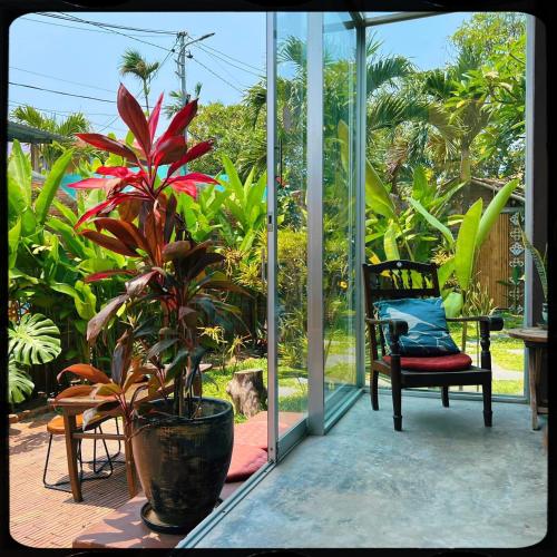 The Happy Bird B&B, Hội An (Foto 6)
