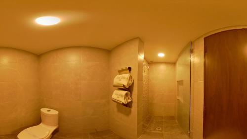 Hotel Oslo in Mexico City, Mexico