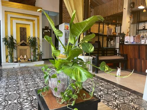 Restaurant, The Sanctuary Villa Battambang in Battambang