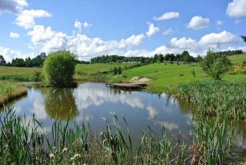 Accommodation in Jora Wielka