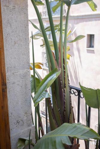 Hostal Sol y K - image 13