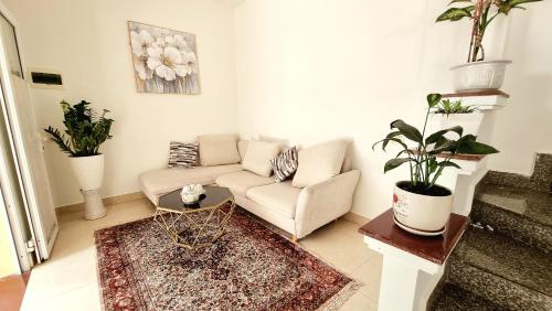 Cozy Central House in Riverside - Cam River / Old Harbour