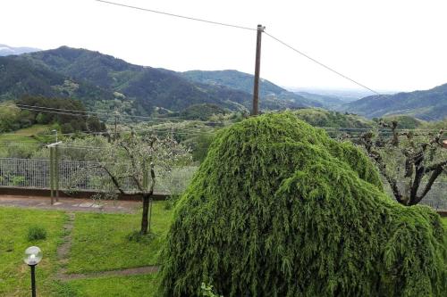 Casa Zita dei fiori