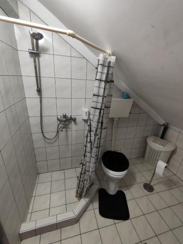 Apartman Trifunović Sokobanja