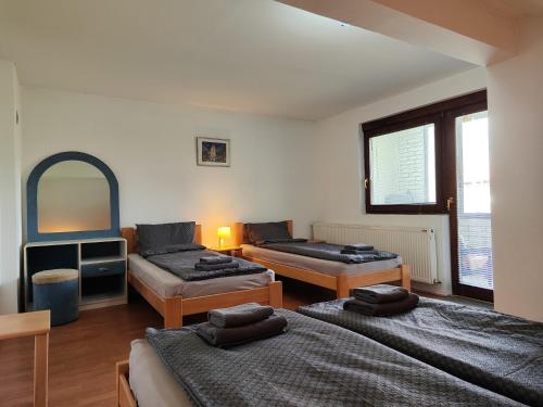 Apartman Trifunović Sokobanja