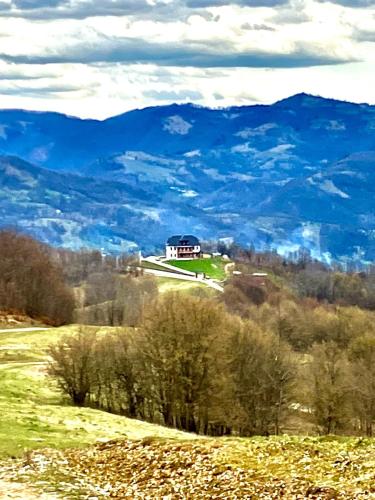 Maramures BELVEDERE - Hotel - Petrova