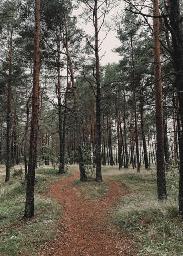 Sea View Apartment - 5th floor