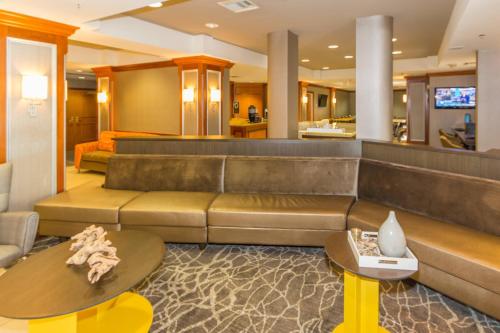 SpringHill Suites by Marriott Tampa Westshore