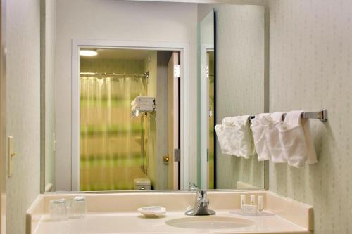 SpringHill Suites Philadelphia Plymouth Meeting in Plymouth Meeting, USA