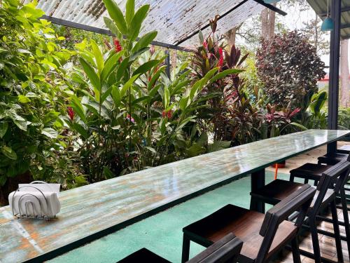 Food and beverages, Tucan Hotel in Uvita