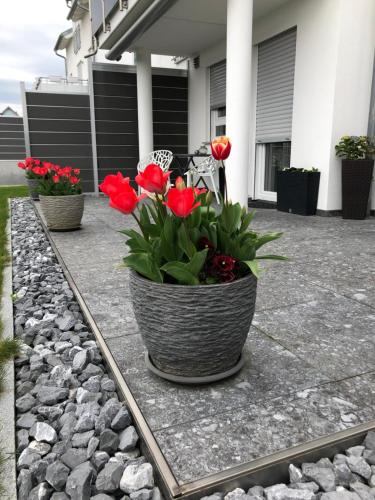 Ferienwohnung Lis in Bermatingen, Deutschland
