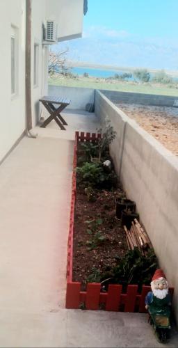 Apartment - Ground Floor image 1
