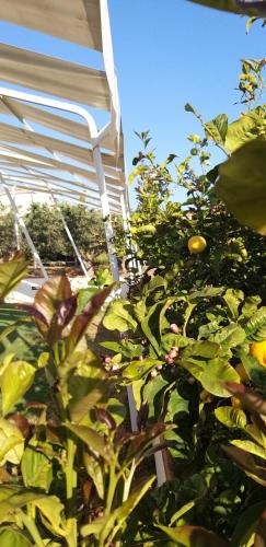  Locazione Turistica Le Fate in Agrigent