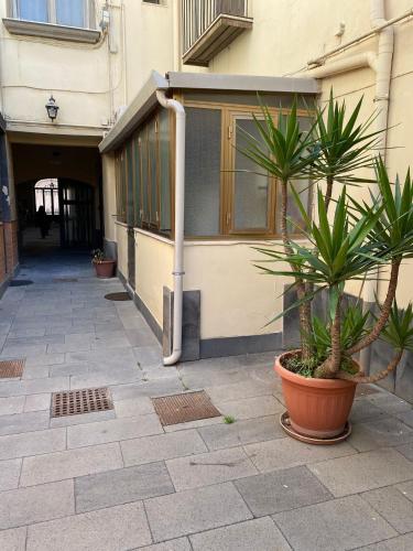Exterior view, LC dreams in San Giovanni a Teduccio