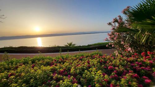 Comfy Stays Sea View Apartments at DeadSea Samarah Resort