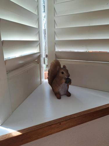  Knusse chalet in een schitterende omgeving in Vledder