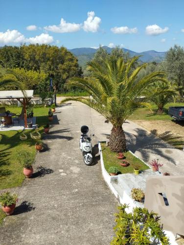 Mιχαλης Apartments