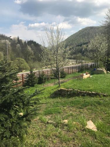 La Butuci, Tîrgu Ocna (foto 6)