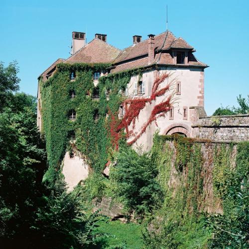 La Clairière bio & spahotel