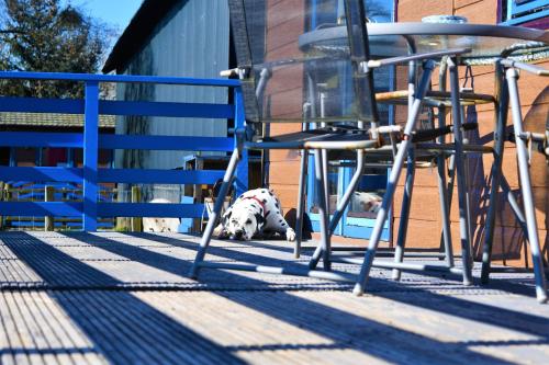 Glen Roe - 3 Bed Lodge on Friendly Farm Stay in East Kilbride
