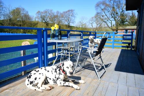 Glen Roe - 3 Bed Lodge on Friendly Farm Stay in East Kilbride