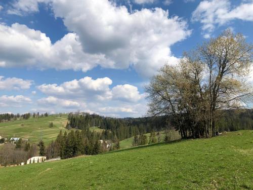 Bystre DOMKI Bystre DOMKI