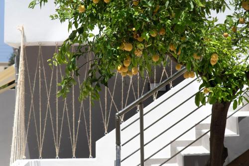  Chania Design Suites in Chania