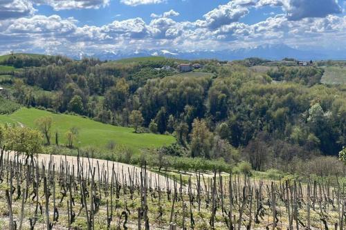 Spicchio di Langa - casa indipendente tra le vigne e le Alpi - Belvedere Langhe