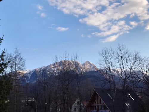 Apartamenty przy Górskim Potoku, Zakopane (photo 9)