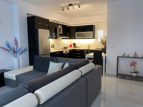 Modern house near Lefkada gîte à louer Néa Kamarína