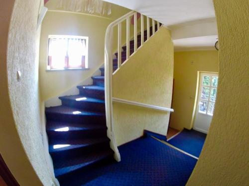 Pasja Noclegi B&B - Accommodation - Wołów