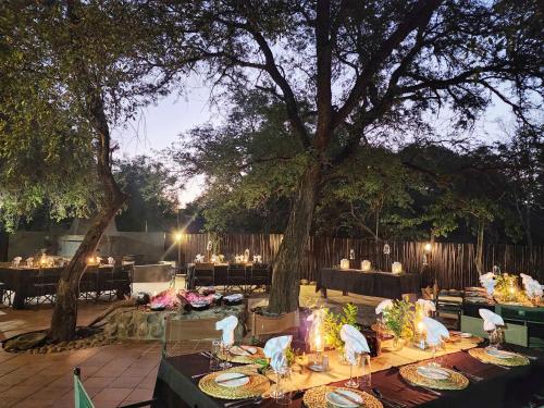 Karongwe Portfolio- Shiduli Private Game Lodge