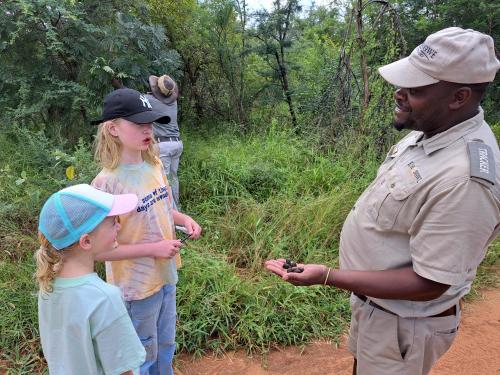 Karongwe Portfolio- Shiduli Private Game Lodge