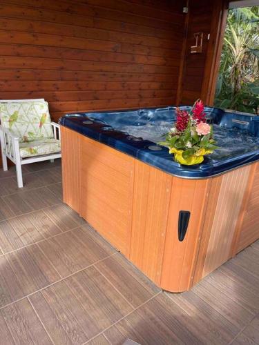 Γύρω περιβάλλον, Villa Saint-Paul in Πουάντ-Νουάρ