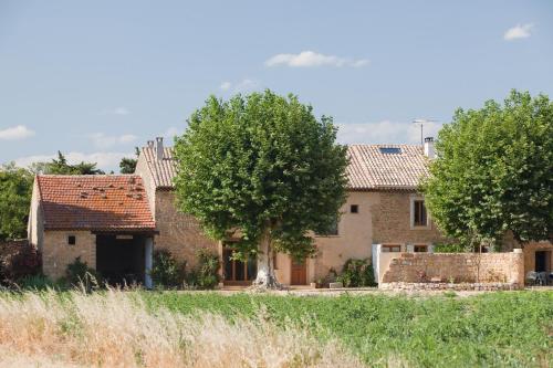 La Ferme Du Midi - image 11