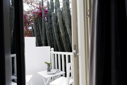Fresh Boutique Hotel - image 3