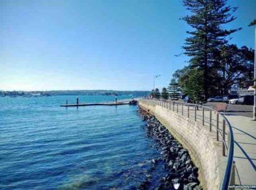 Chic Rose Bay Pad with HUGE outdoor sunny balcony in Rose Bay