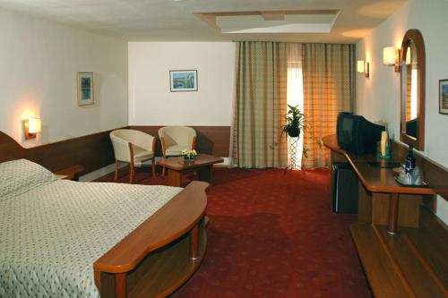 Hotel Irisa - image 14